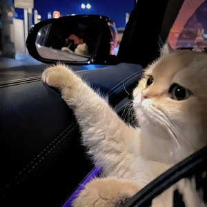 紫悦被弄到高潮喷水
