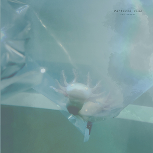 紫悦被弄到高潮喷水
